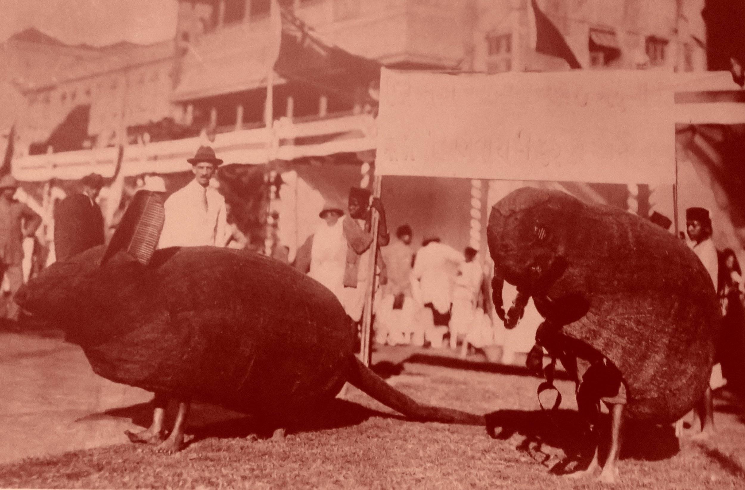 En Inde, vaste épidémie dans les années 1920 : environ 12 millions de morts, et toute une pédagogie organisée pour montrer le rôle des rats et des puces.