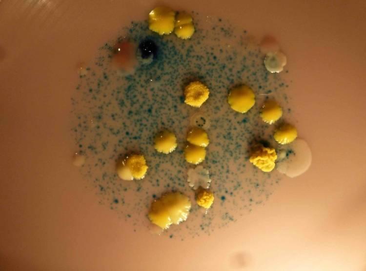 Un point jaune est une colonie bactérienne, formée à partir d'une bactérie, en 24 heures dans des conditions favorables. Soit plus d'un million de bactéries. Pour les petites bleues, la colonisation est beaucoup plus laborieuse.