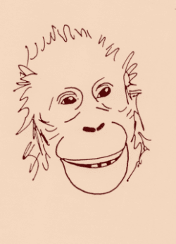 Sourire d'un jeune orang&nbsp;