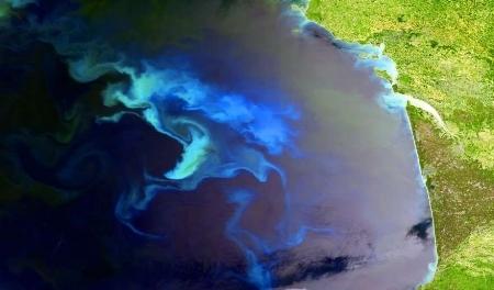 Le golf de Gascogne, efflorescences en face de la Gironde.&nbsp;