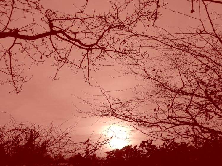 Si les UV solaires n'étaient pas arrêtés par la bienfaisante couche d'ozone, le soleil se transformerait ipso facto en ennemi mortel en nous brûlant comme de vulgaires saucisses pour barbecue.