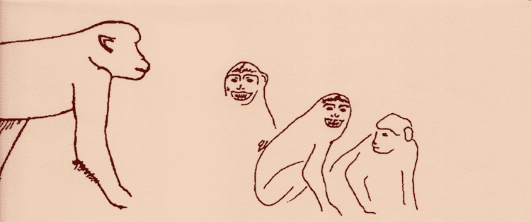 Le mâle macaque passe