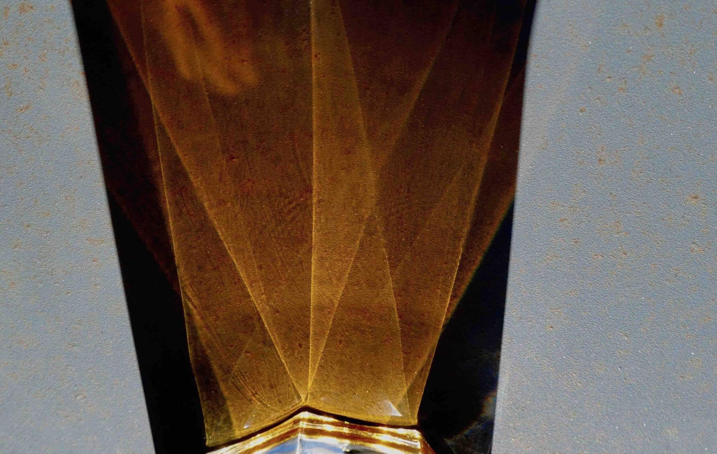 Rayons du soleil piégés dans un verre de bière