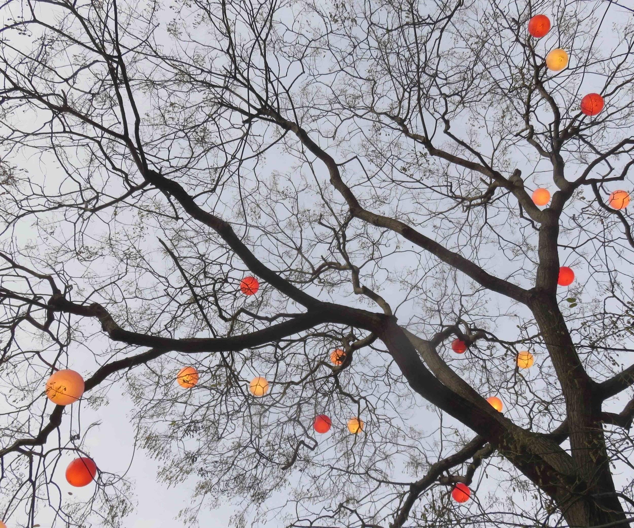 Arbre qui s’est gourré