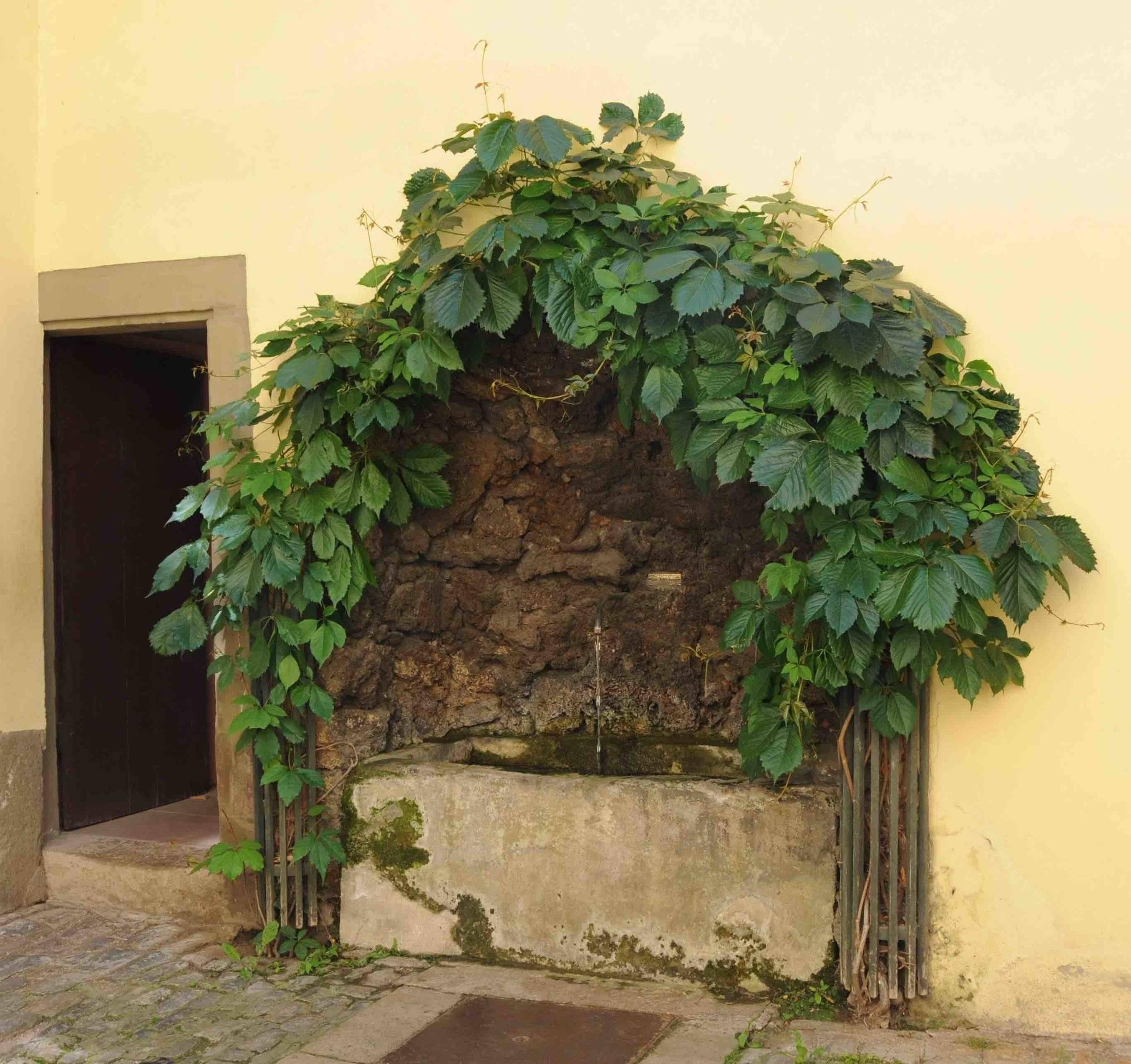 Fontaine de la maison de Goethe